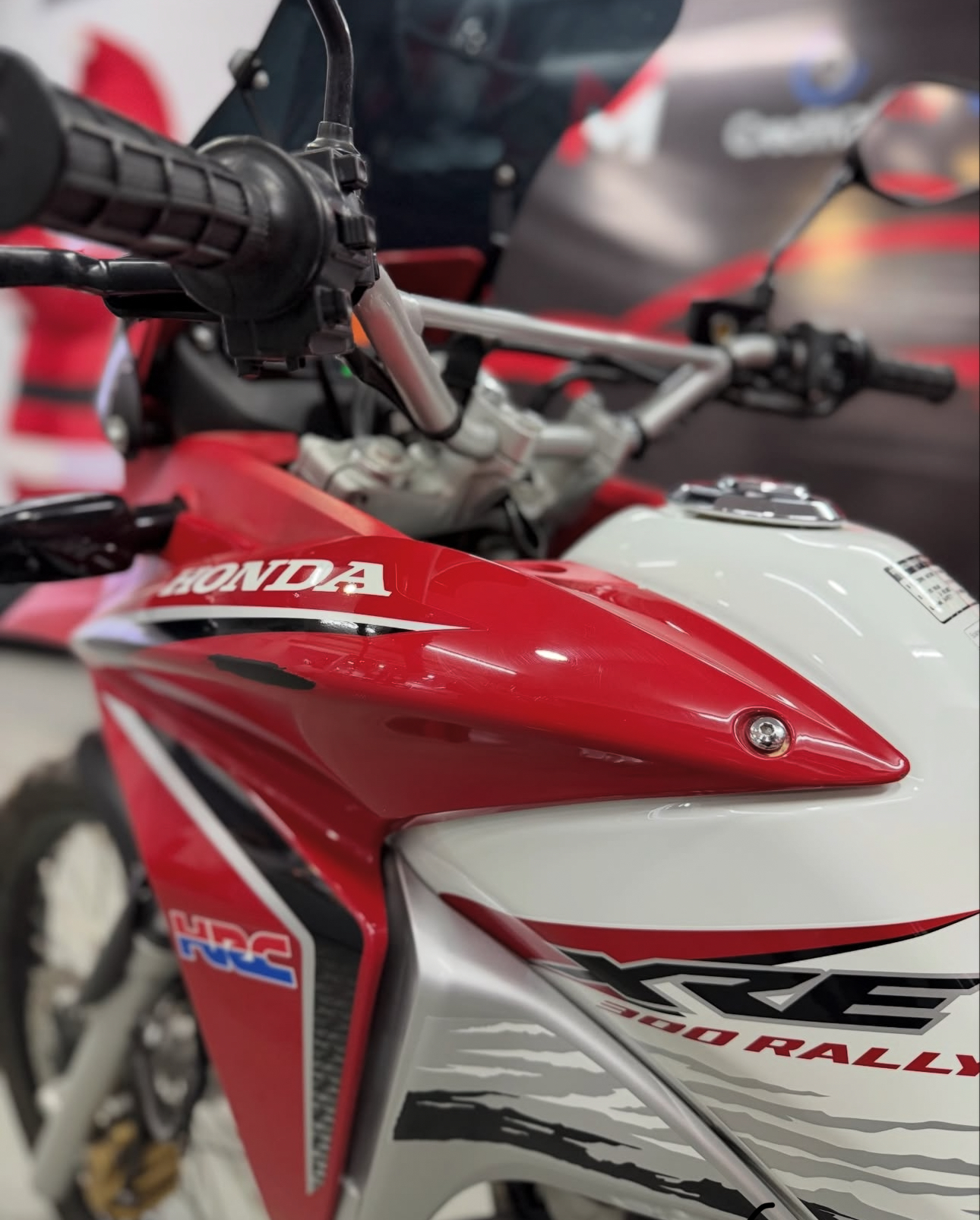 Honda XRE 300 Rally — foto 7